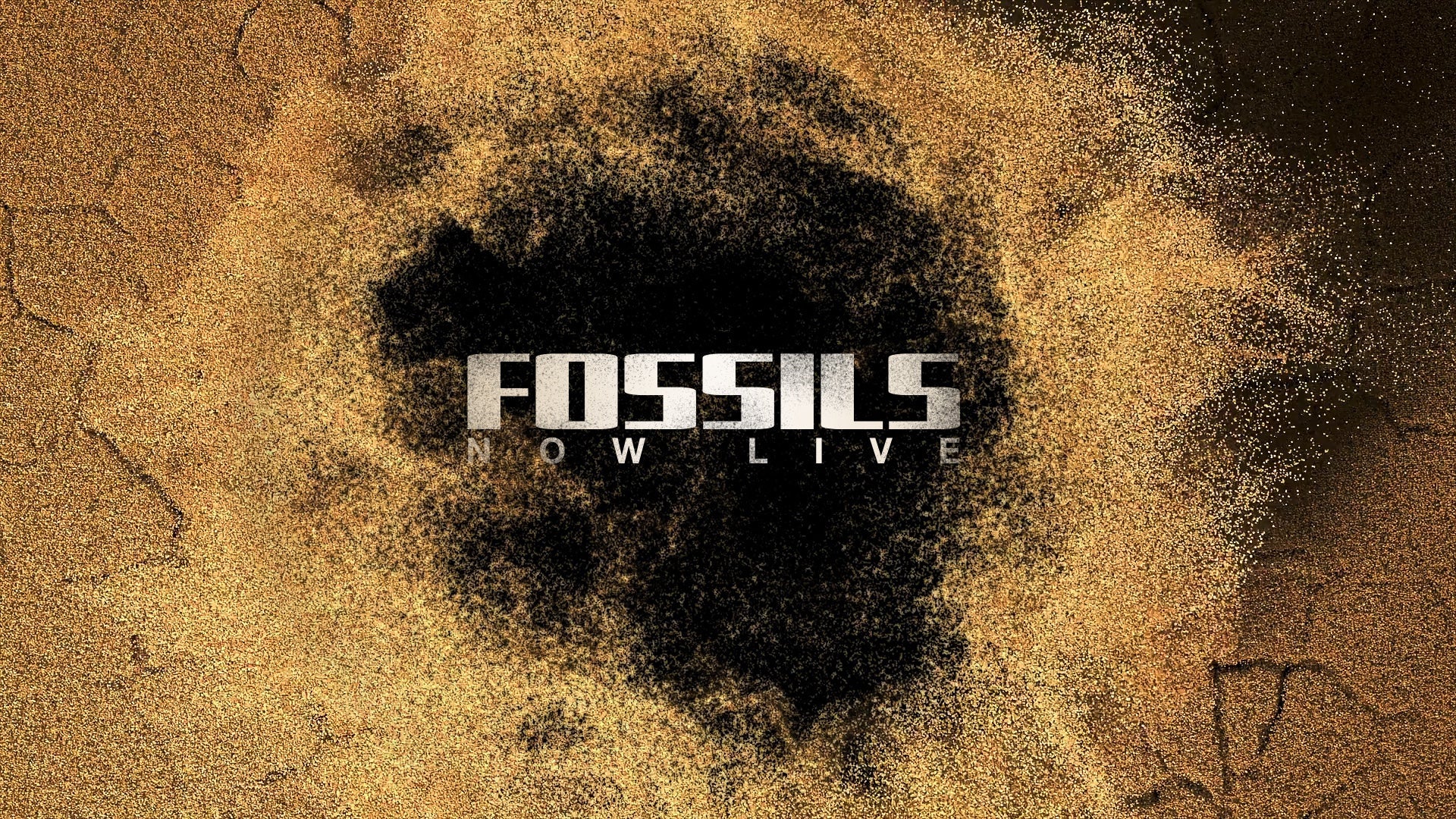 fossils.jpg